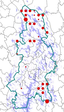Kapustarinta