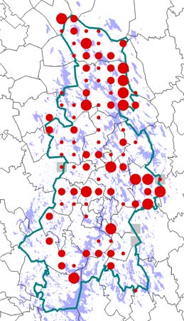 Sinisuohaukka