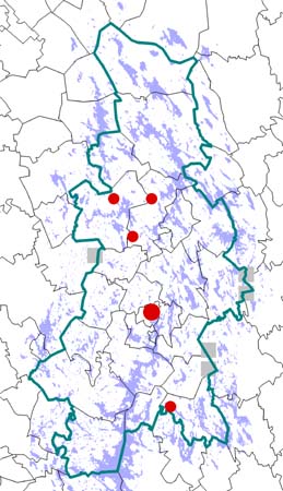 Viiriinen